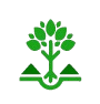 Plantation